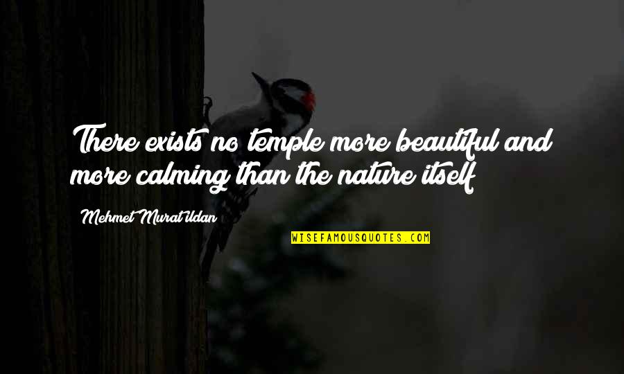 Forward Motion Quotes By Mehmet Murat Ildan: There exists no temple more beautiful and more