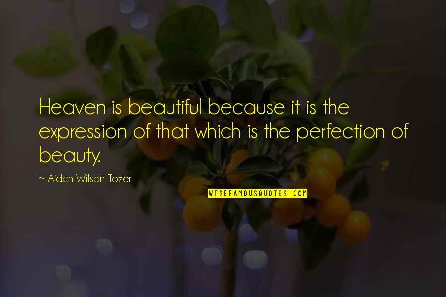 Fountainblo Quotes By Aiden Wilson Tozer: Heaven is beautiful because it is the expression