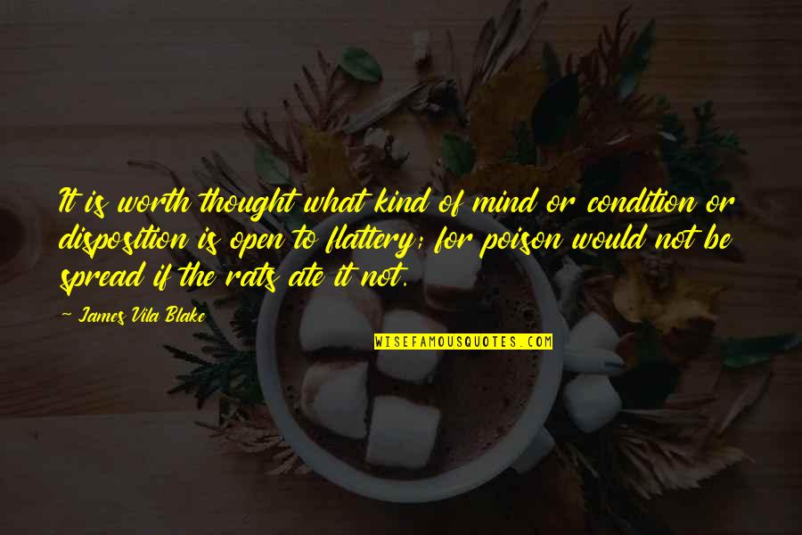 Fraitia Quotes By James Vila Blake: It is worth thought what kind of mind