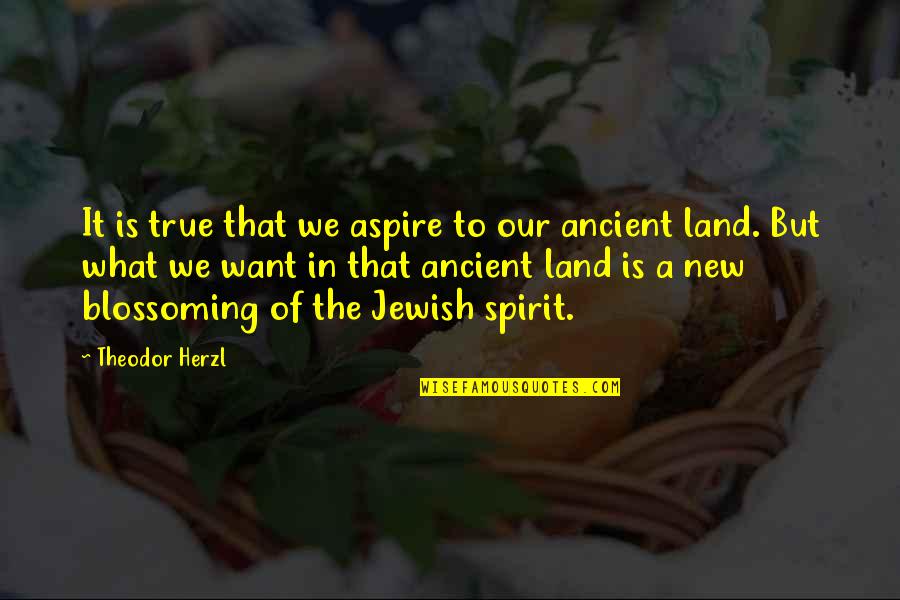 Fredenham Singer Quotes By Theodor Herzl: It is true that we aspire to our