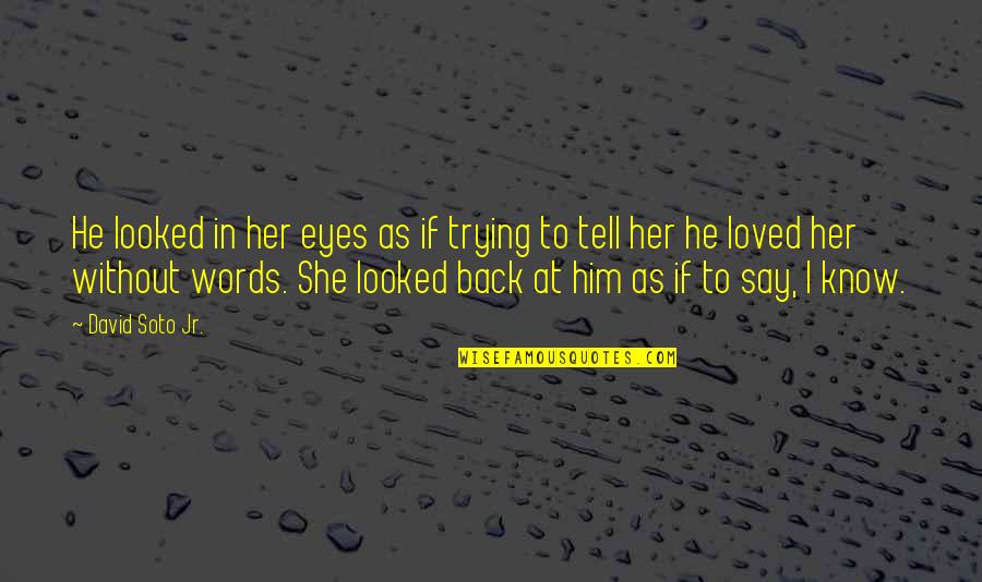 Frederiek Vanoplynes Quotes By David Soto Jr.: He looked in her eyes as if trying
