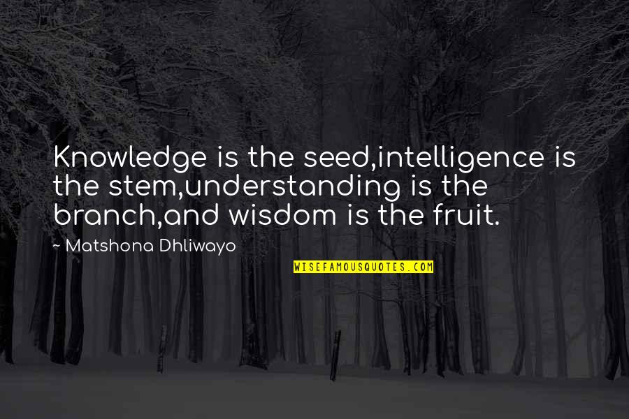 Frederiek Vanoplynes Quotes By Matshona Dhliwayo: Knowledge is the seed,intelligence is the stem,understanding is