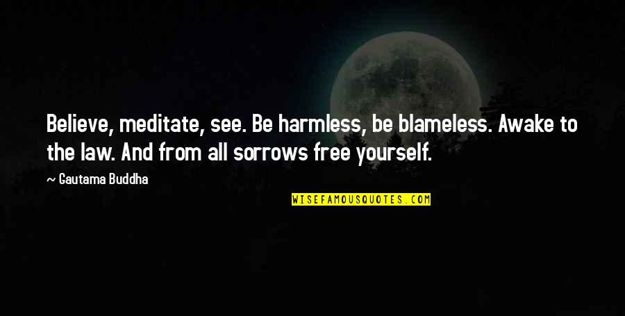 Free From All Quotes By Gautama Buddha: Believe, meditate, see. Be harmless, be blameless. Awake