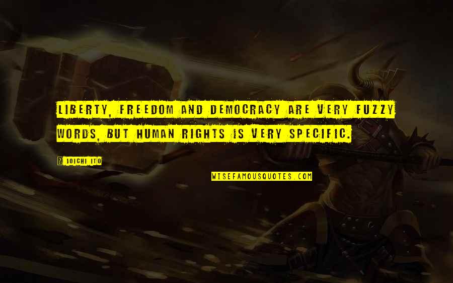 Freedom And Human Rights Quotes By Joichi Ito: Liberty, freedom and democracy are very fuzzy words,