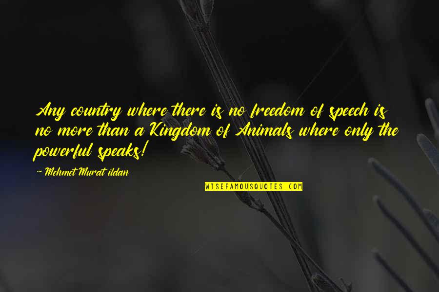 Freedom For All Quote Quotes By Mehmet Murat Ildan: Any country where there is no freedom of