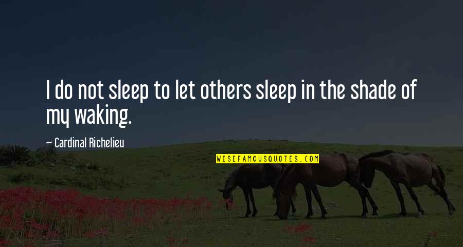 Freedom Therapy Quotes By Cardinal Richelieu: I do not sleep to let others sleep