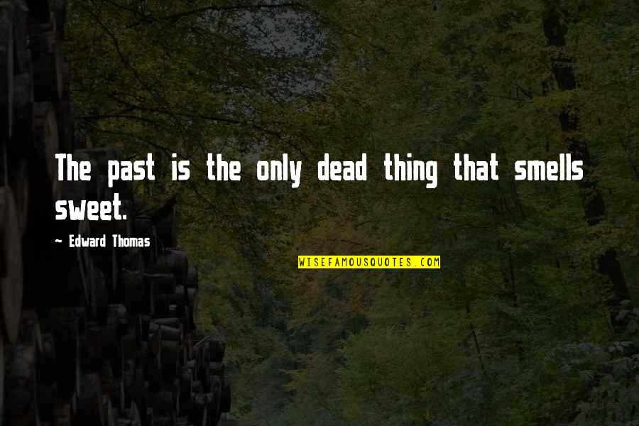 Fremdwort Bedeutung Quotes By Edward Thomas: The past is the only dead thing that