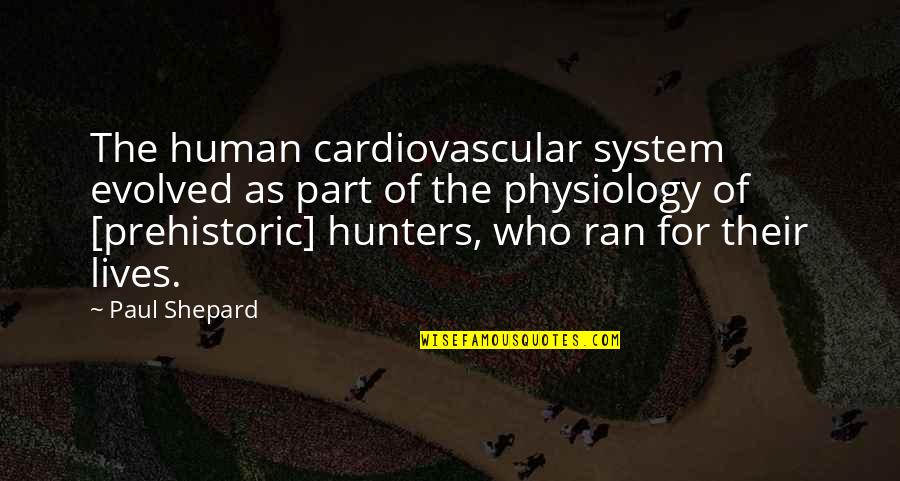 Freshener Graveyard Quotes By Paul Shepard: The human cardiovascular system evolved as part of