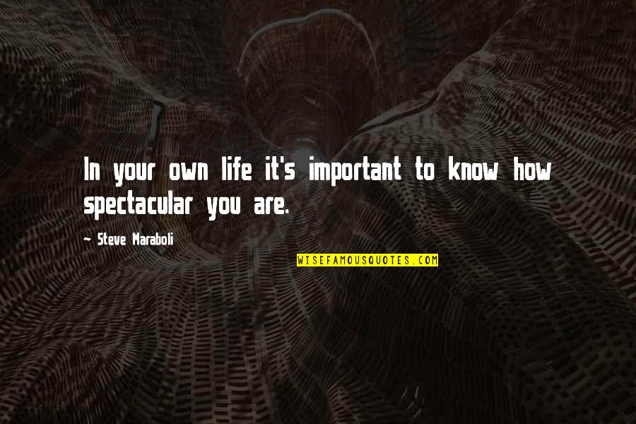 Frfivr Quotes By Steve Maraboli: In your own life it's important to know