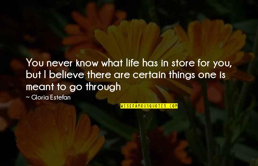 Friends Brainy Quotes By Gloria Estefan: You never know what life has in store