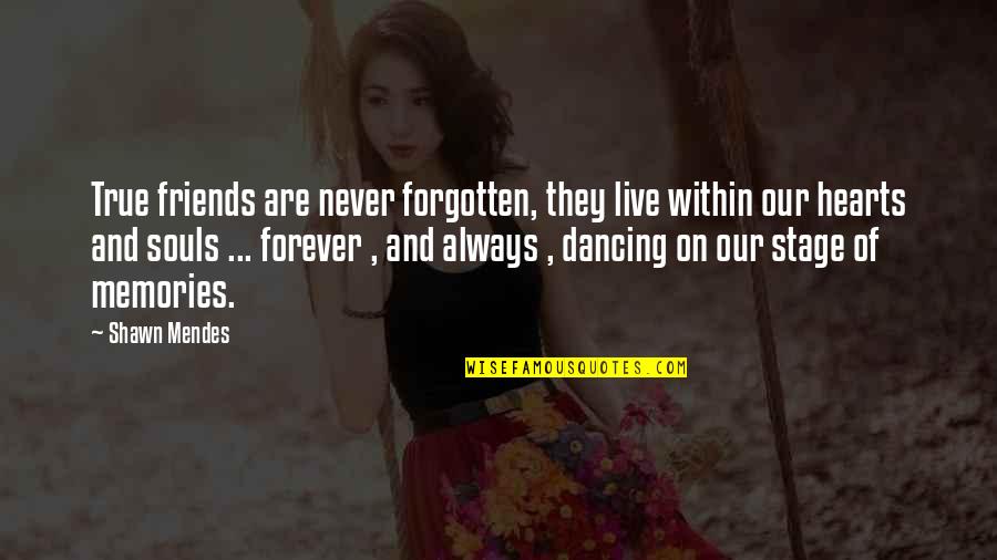 Friends Forever And Ever Quotes By Shawn Mendes: True friends are never forgotten, they live within