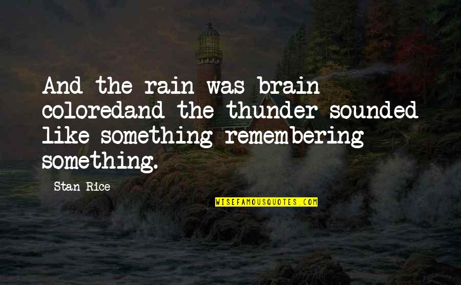 Friendship Tagalog 2015 Quotes By Stan Rice: And the rain was brain coloredand the thunder