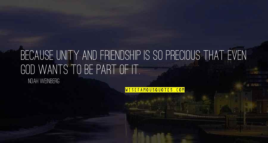 Friendship Unity Quotes By Noah Weinberg: Because unity and friendship is so precious that