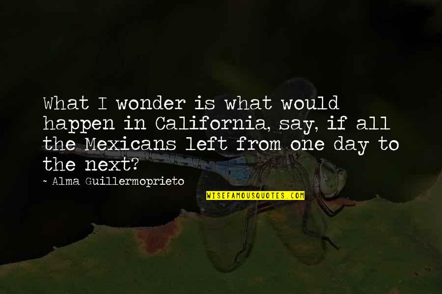 From Day One Quotes By Alma Guillermoprieto: What I wonder is what would happen in