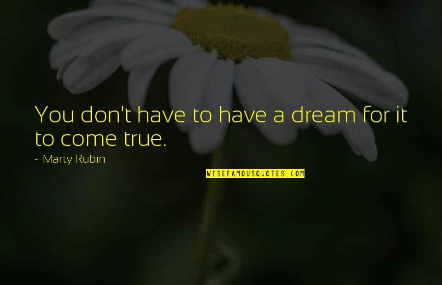 From Dream To Reality Quotes By Marty Rubin: You don't have to have a dream for