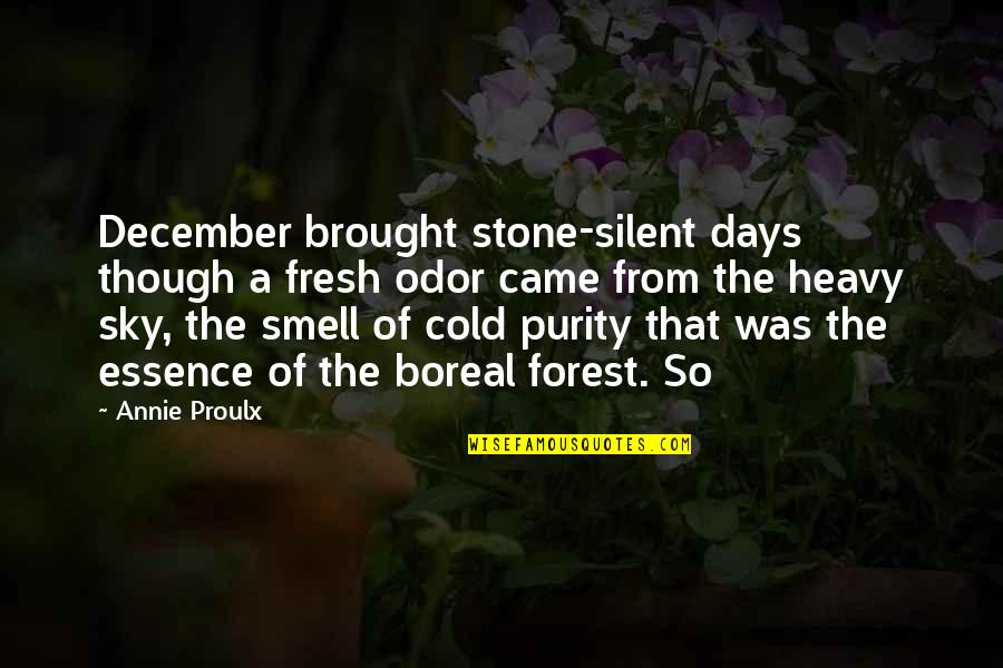 From The Sky Quotes By Annie Proulx: December brought stone-silent days though a fresh odor