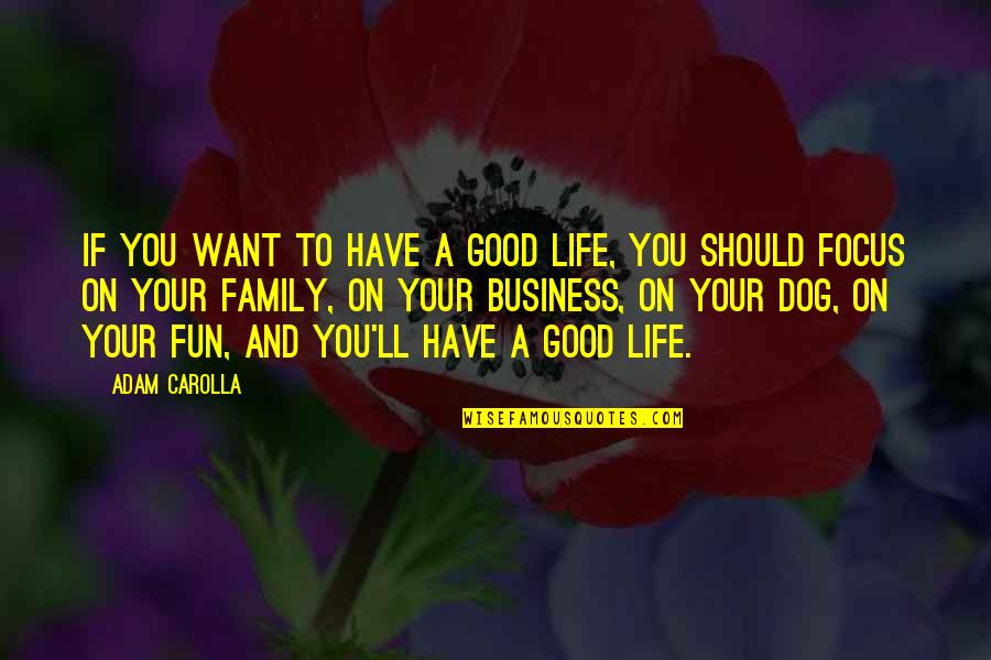 Fun With Family Quotes By Adam Carolla: If you want to have a good life,