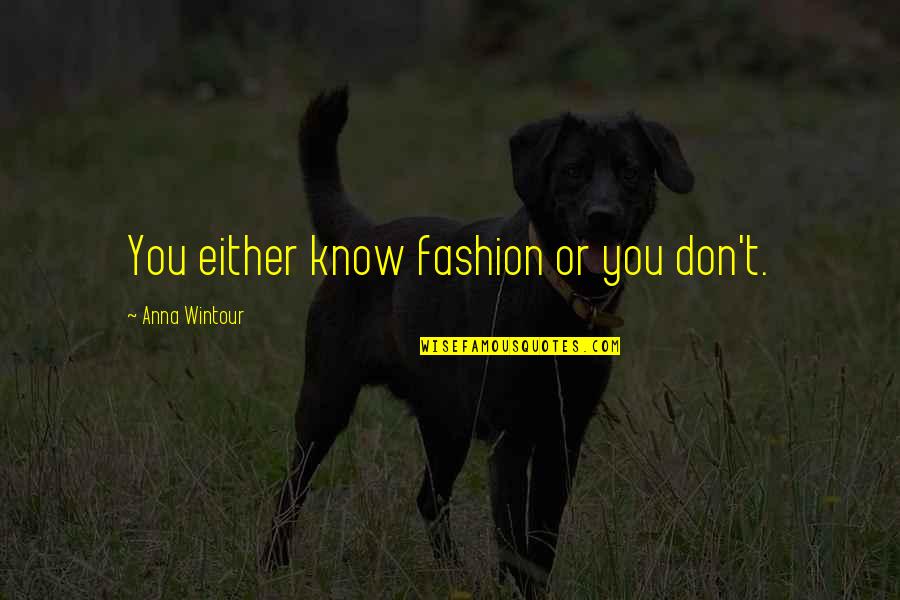 Funniest Workout Quotes By Anna Wintour: You either know fashion or you don't.