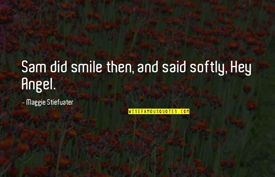 Funny Ballerinas Quotes By Maggie Stiefvater: Sam did smile then, and said softly, Hey