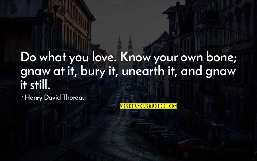 Funny Business Analyst Quotes By Henry David Thoreau: Do what you love. Know your own bone;