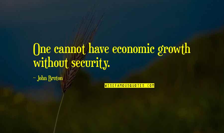 Funny Cardiologist Quotes By John Bruton: One cannot have economic growth without security.