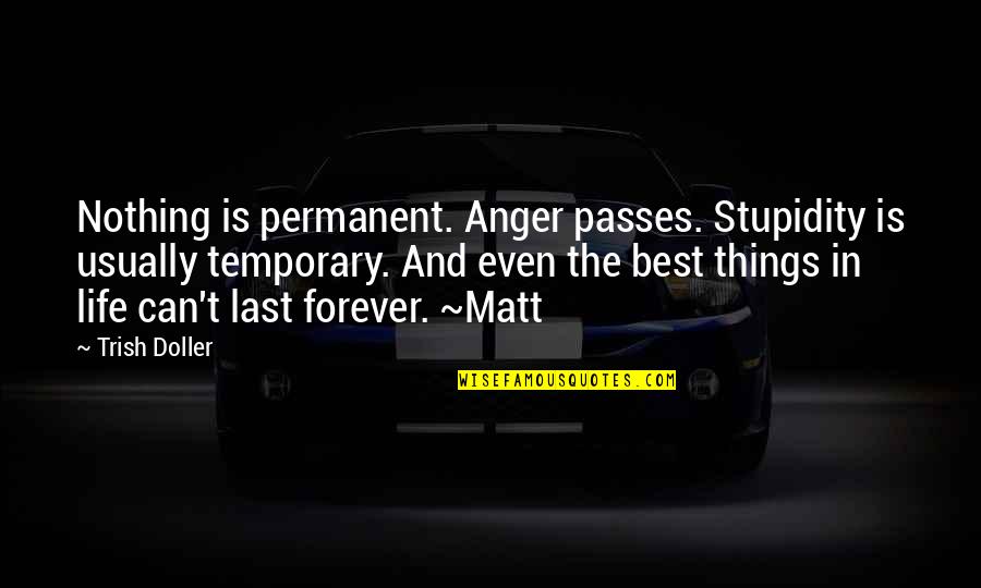 Funny Collection Agency Quotes By Trish Doller: Nothing is permanent. Anger passes. Stupidity is usually