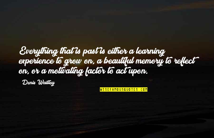 Funny Confused Quotes By Denis Waitley: Everything that is past is either a learning