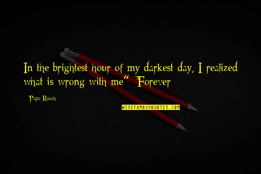 Funny Discount Quotes By Papa Roach: In the brightest hour of my darkest day,