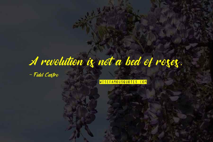 Funny Element Quotes By Fidel Castro: A revolution is not a bed of roses.