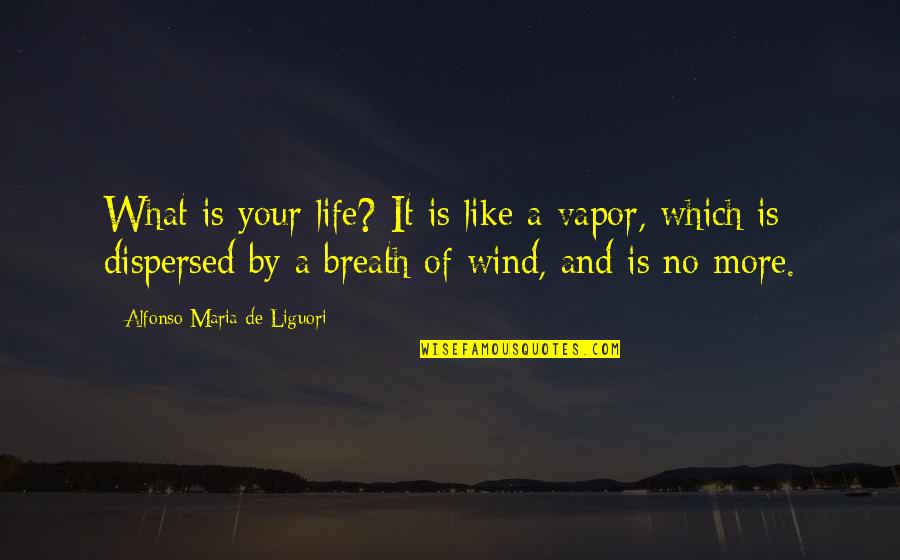 Funny Friday Workplace Quotes By Alfonso Maria De Liguori: What is your life? It is like a