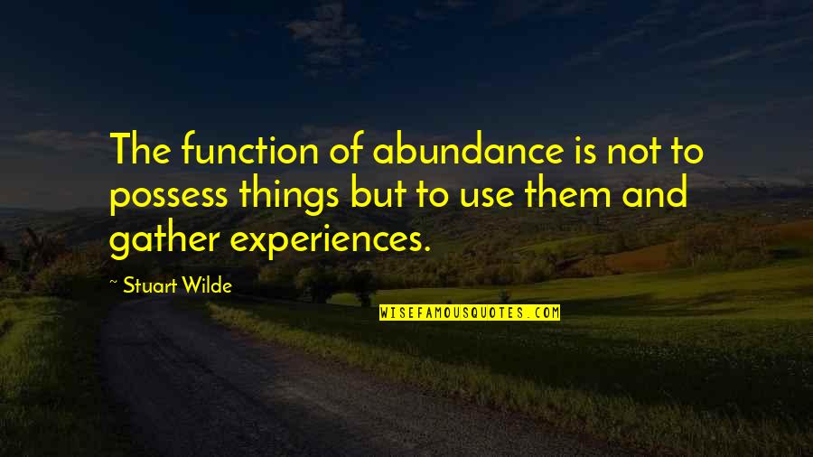 Funny Grinning Quotes By Stuart Wilde: The function of abundance is not to possess