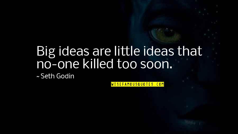 Funny Presents Quotes By Seth Godin: Big ideas are little ideas that no-one killed