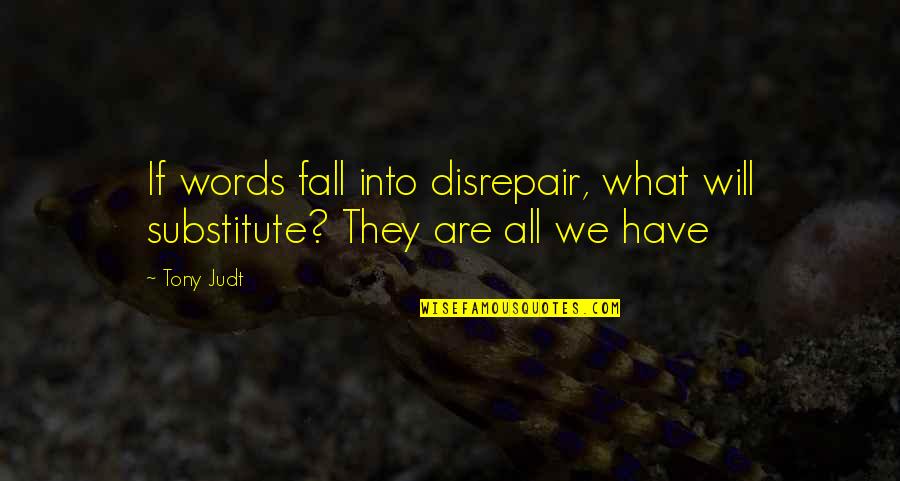 Funny Raf Quotes By Tony Judt: If words fall into disrepair, what will substitute?