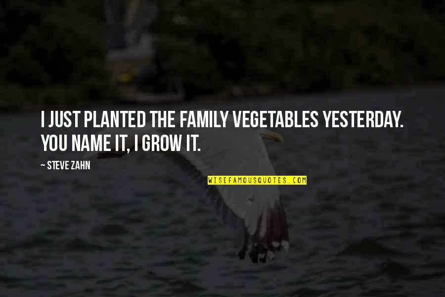 Fusselman Law Quotes By Steve Zahn: I just planted the family vegetables yesterday. You