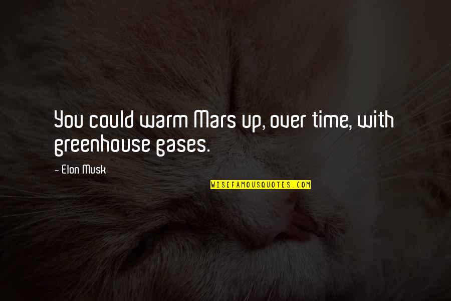 Fussenegger Baby Quotes By Elon Musk: You could warm Mars up, over time, with