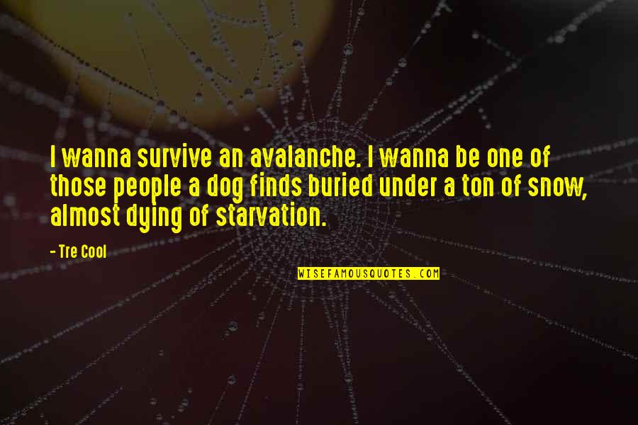 Future Images And Quotes By Tre Cool: I wanna survive an avalanche. I wanna be