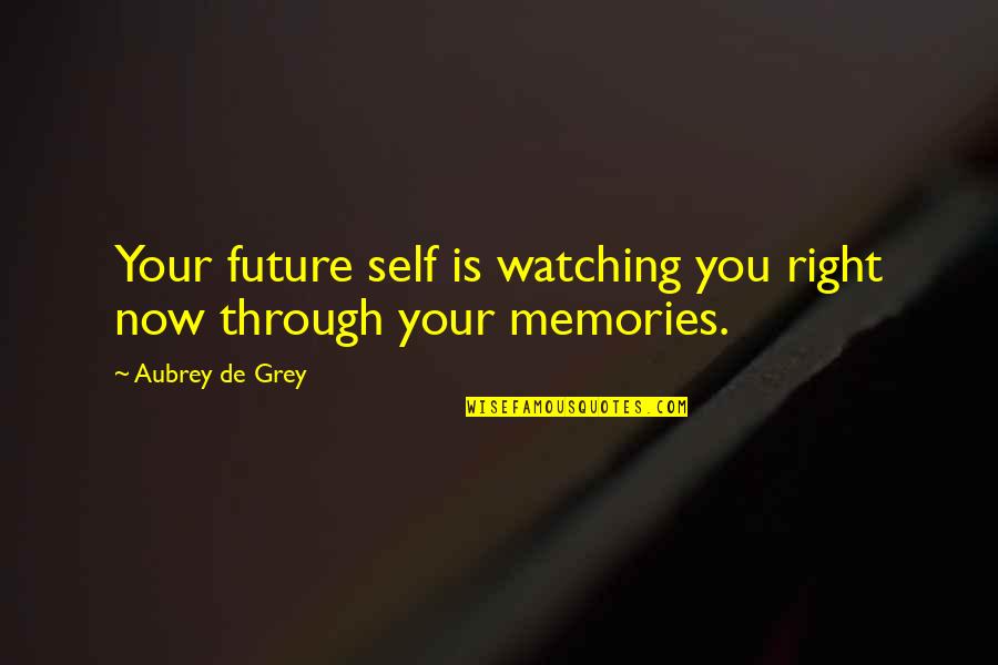 Future Self Quotes By Aubrey De Grey: Your future self is watching you right now