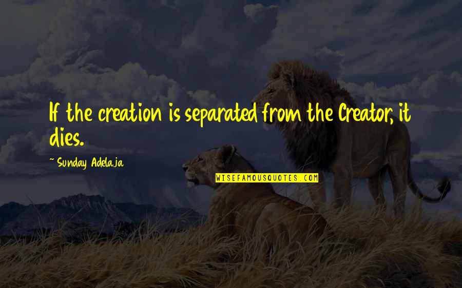 Gabriel Rolon Quotes By Sunday Adelaja: If the creation is separated from the Creator,