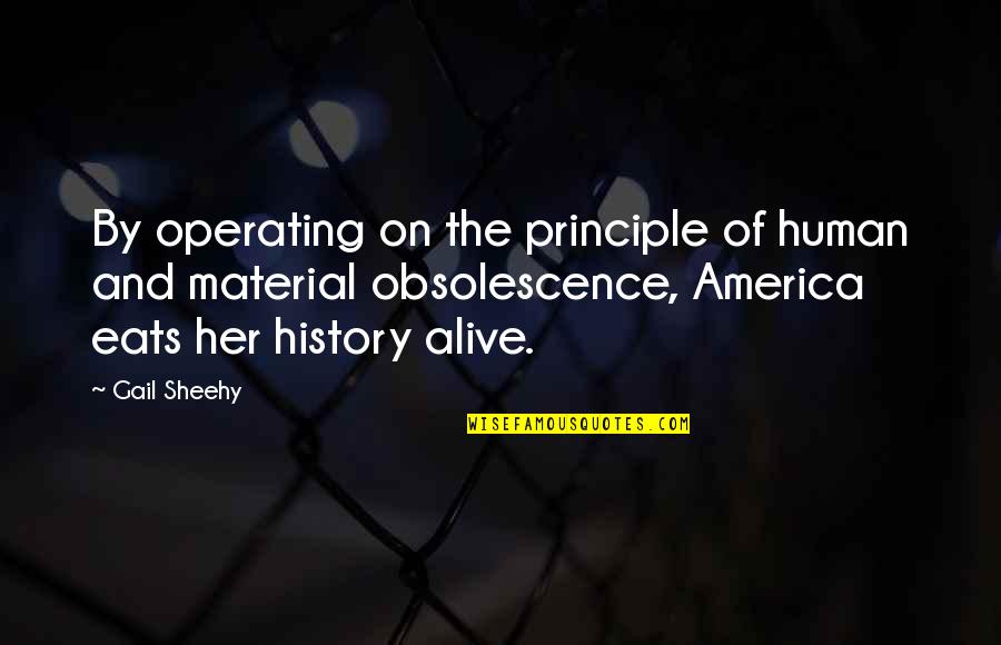 Gail Sheehy Quotes By Gail Sheehy: By operating on the principle of human and