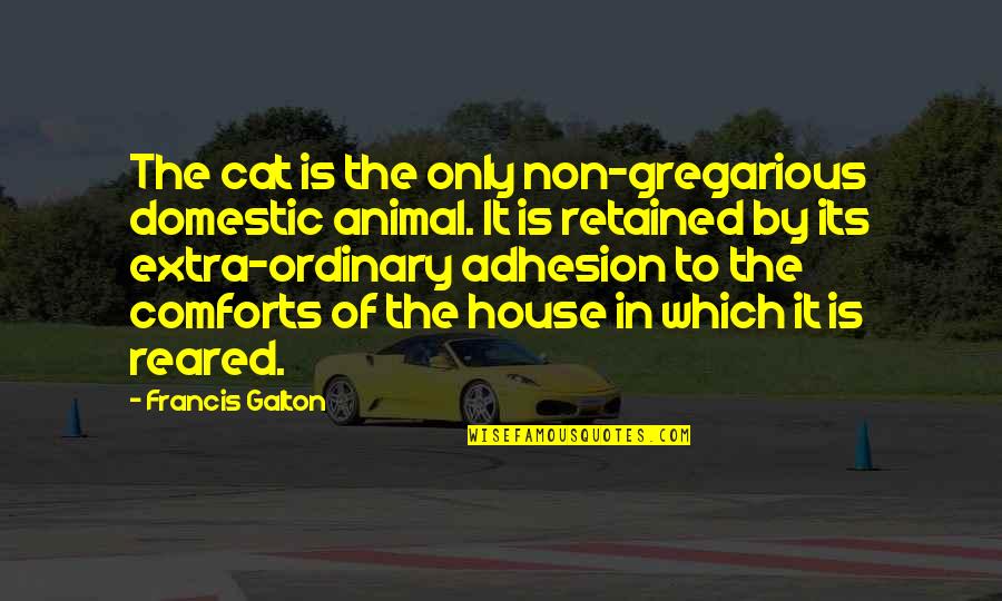 Galton's Quotes By Francis Galton: The cat is the only non-gregarious domestic animal.