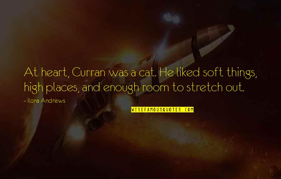 Ganging Up Quotes By Ilona Andrews: At heart, Curran was a cat. He liked