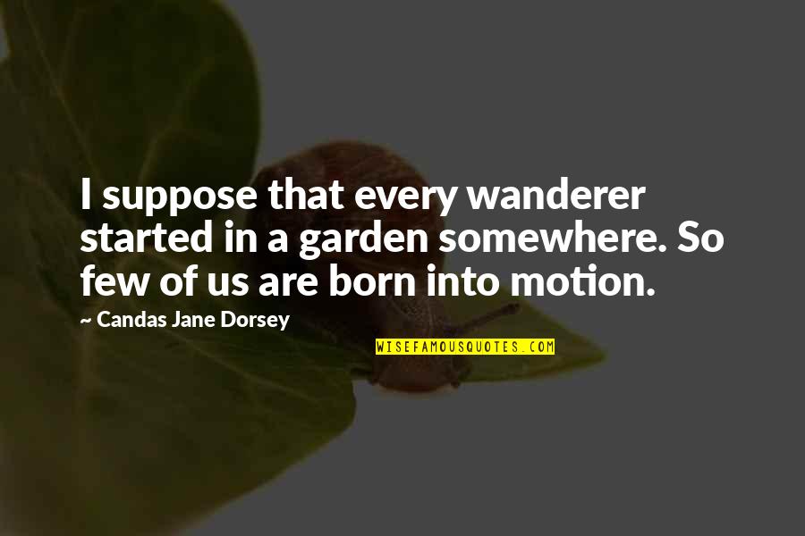 Garden Of Quotes By Candas Jane Dorsey: I suppose that every wanderer started in a