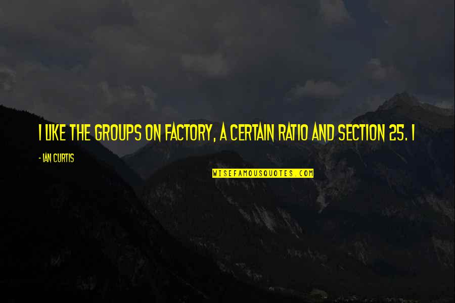 Garden Sanctuary Quotes By Ian Curtis: I like the groups on Factory, A Certain