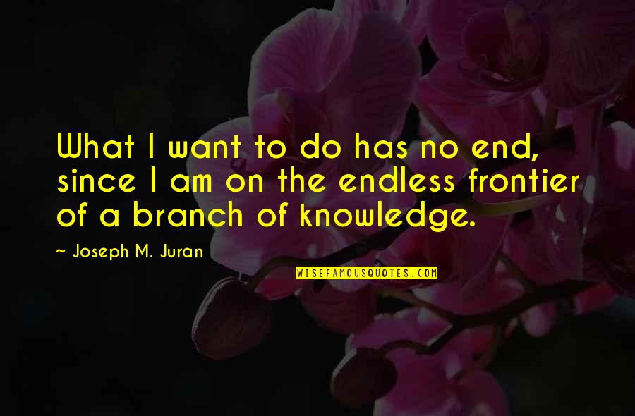 Garnachas Veracruzanas Quotes By Joseph M. Juran: What I want to do has no end,