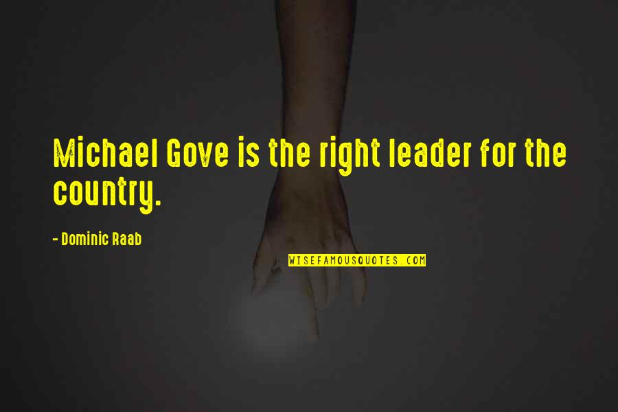 Garrni Quotes By Dominic Raab: Michael Gove is the right leader for the