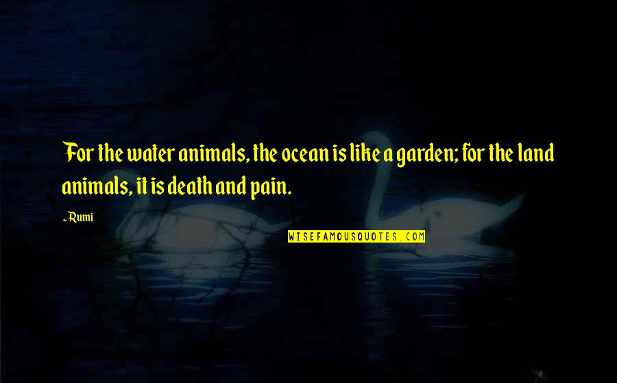 Gassim Saudi Quotes By Rumi: For the water animals, the ocean is like