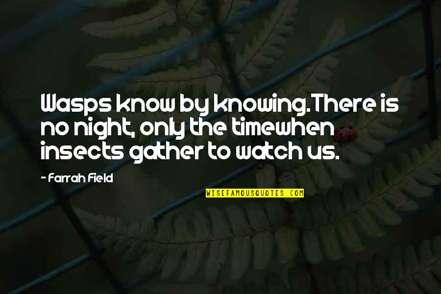 Gather Quotes By Farrah Field: Wasps know by knowing.There is no night, only