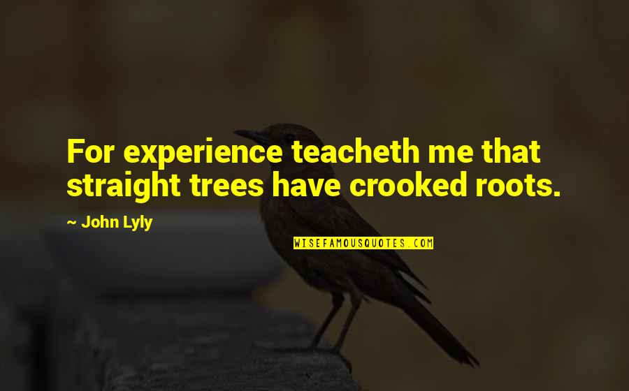 Gattysn Quotes By John Lyly: For experience teacheth me that straight trees have