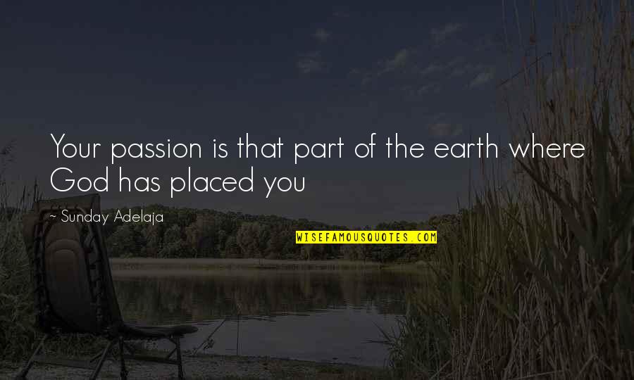Geometria Descriptiva Quotes By Sunday Adelaja: Your passion is that part of the earth