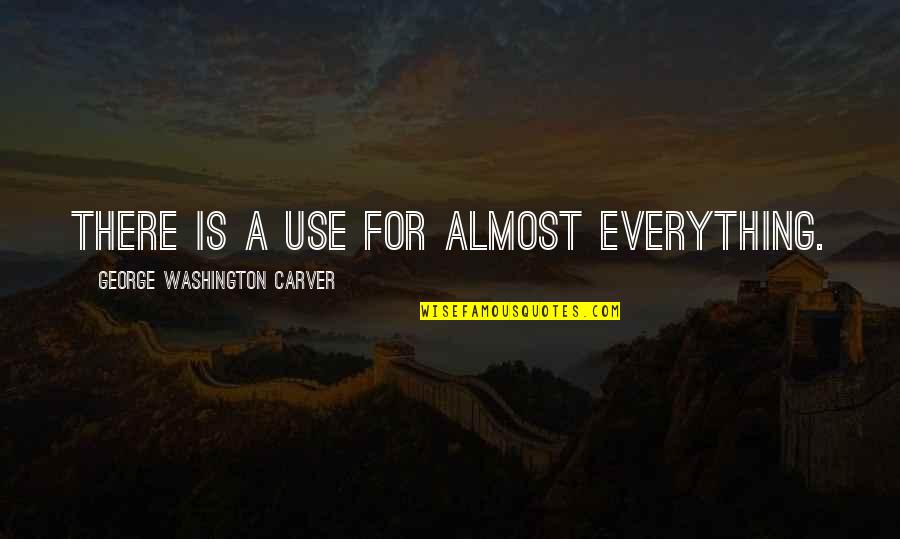 George Carver Washington Quotes By George Washington Carver: There is a use for almost everything.